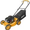 Ingco Gasoline Lawn Mower 4HP 3.0kW with 50L Grass Collection Bag - GLM141181