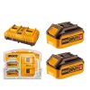 Ingco Two Pieces 20V 5.0Ah Lithium-Ion Battery Pack and Charger Kit - FBCPK2425